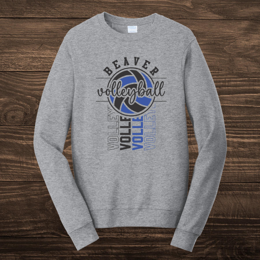 Beaver Volleyball - Youth