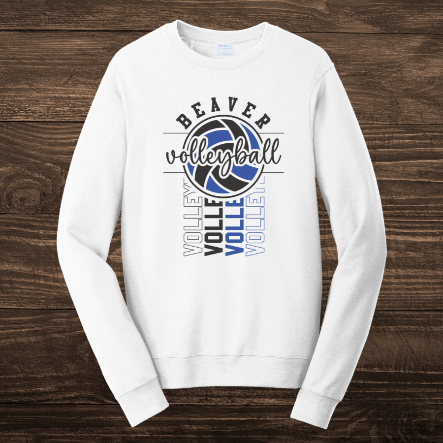 Beaver Volleyball - Youth
