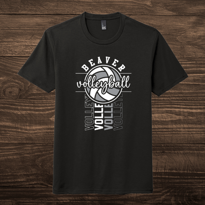Beaver Volleyball - Adult