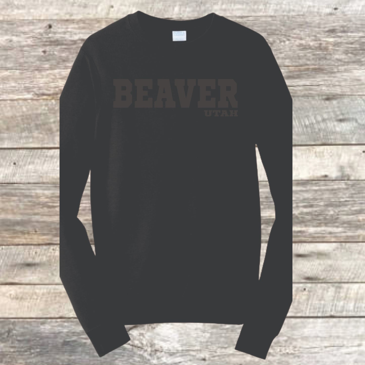 BEAVER UTAH