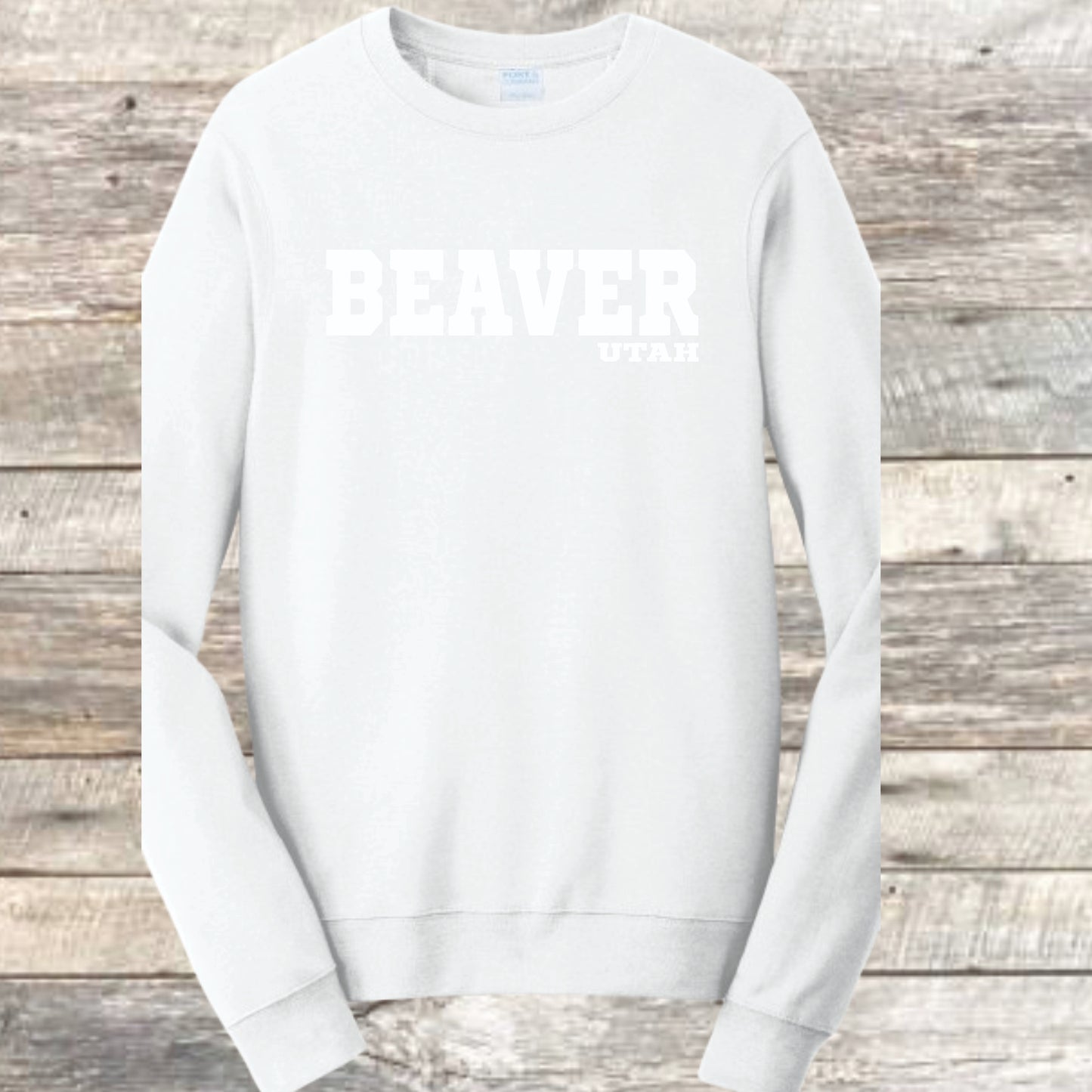 BEAVER UTAH