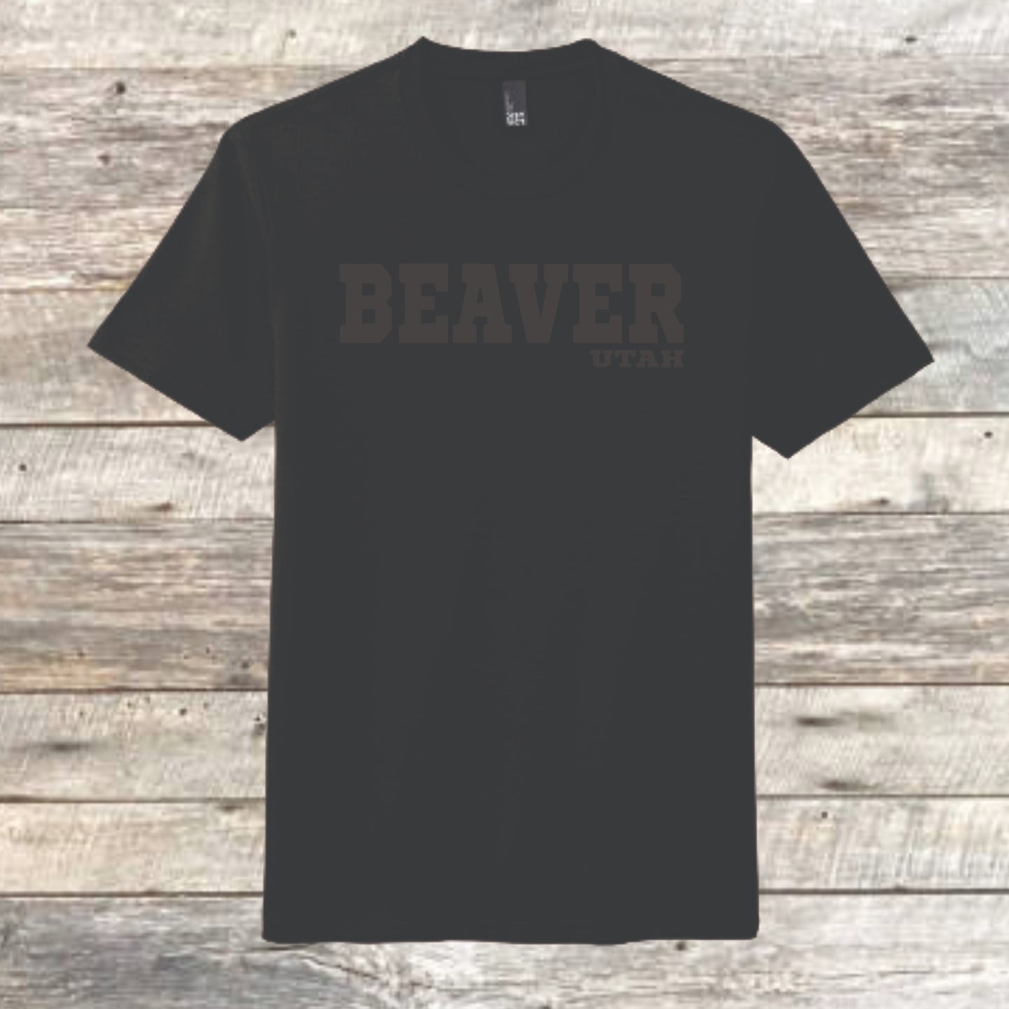 BEAVER UTAH